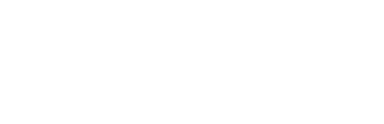 Straylight Logo