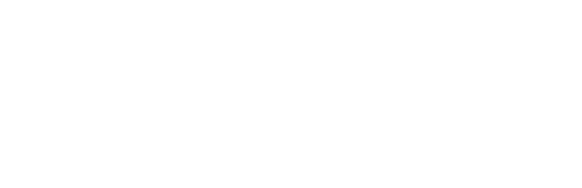 Straylight Logo